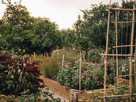 Un sitio en tu huerto para las flores de corte